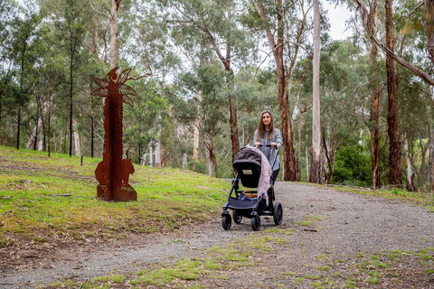 Currawong Bush Park - Kawana Tourism 0