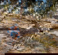 Cycle Mogo State Forest - Kawana Tourism