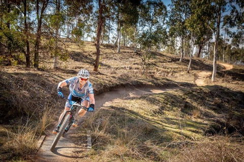 Cycle Mogo State Forest - Kawana Tourism 0