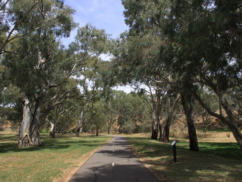 Dead Mans Pass - Kawana Tourism 0