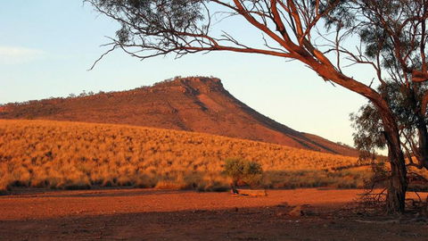 Dutchman Stern Conservation Park Trail - Kawana Tourism 0