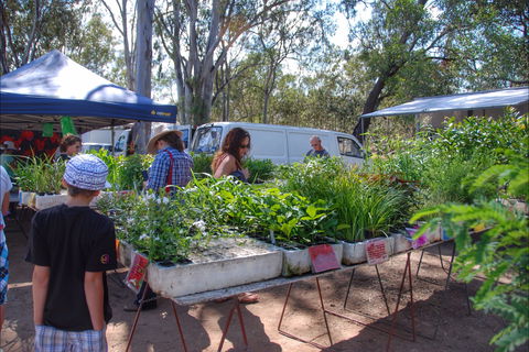 Fernvale Country Markets - Kawana Tourism 0