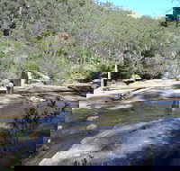 Frere's Crossing Bushwalk - Kawana Tourism