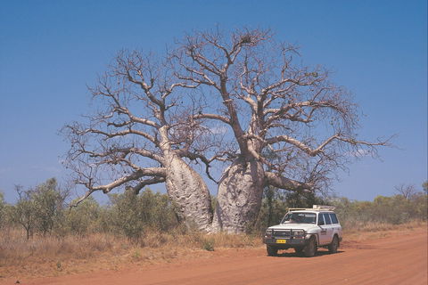 Gibb River Road - Kawana Tourism 2