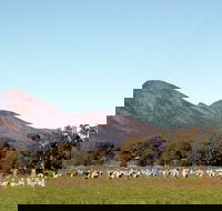 Grampians - Kawana Tourism