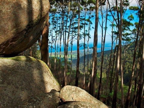 Gulaga Mountain Walk - Kawana Tourism 0