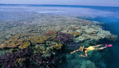 Hardy Reef - Kawana Tourism 1