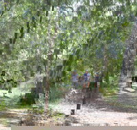 Hay Free Push Bikes - Kawana Tourism