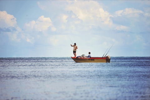 How To Holiday On The Hibiscus Coast With Your Family - Kawana Tourism 1