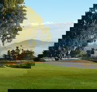 Kangaroo Tours at Gisborne Golf Club Inc - Kawana Tourism