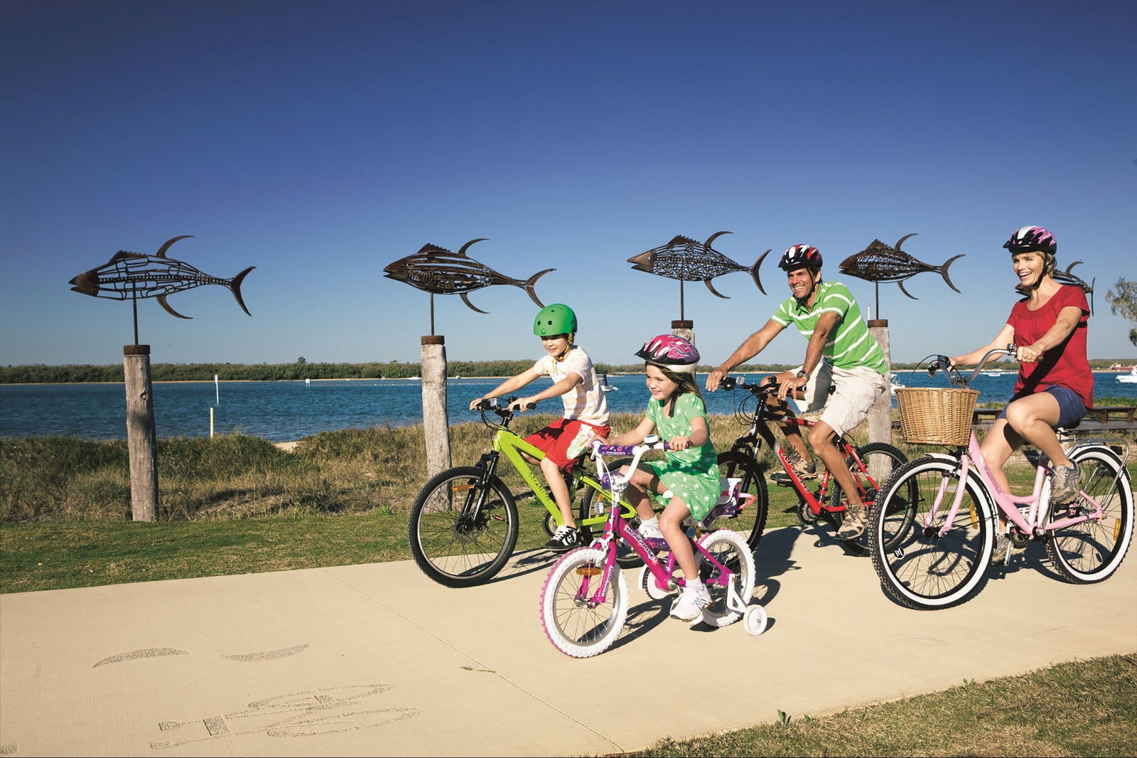 Musgrave Hill QLD Kawana Tourism