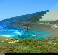 Little Bay Beach - Kawana Tourism