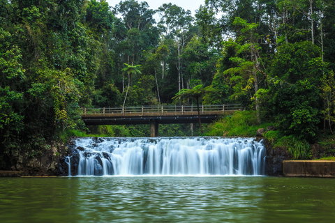Malanda Falls - Kawana Tourism 0