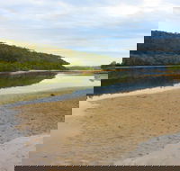 Mangrove Walk - Kawana Tourism