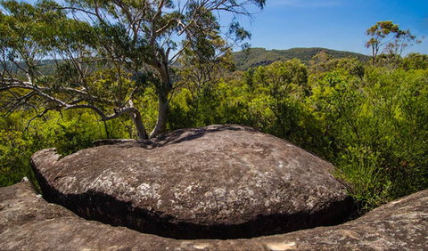 Marramarra Ridge To Smugglers Ridge Walking Track - Kawana Tourism 0