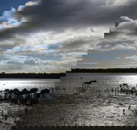 Marine Parade Hastings Foreshore Reserve Circuit - Cycling