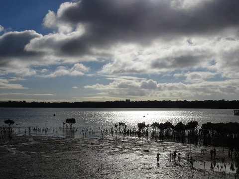 Marine Parade (Hastings Foreshore Reserve) Circuit - Cycling - Kawana Tourism 0