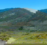 Monument Hill Walking Track - Kawana Tourism
