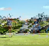 Moore Park Golf Course - Kawana Tourism