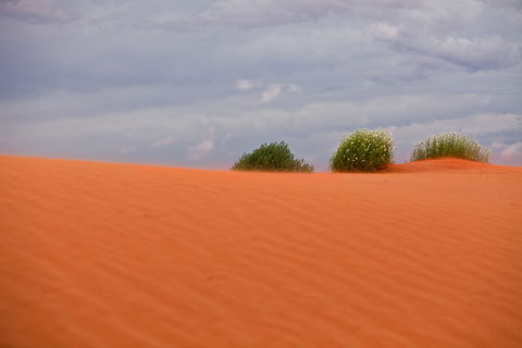 Munga-Thirri - Simpson Desert Conservation Park And Regional Reserve - Kawana Tourism 0