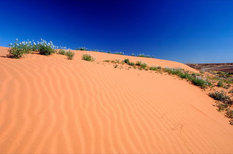 Munga-Thirri - Simpson Desert Conservation Park And Regional Reserve - Kawana Tourism 1