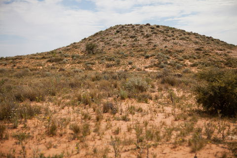 Munga-Thirri - Simpson Desert Conservation Park And Regional Reserve - Kawana Tourism 2