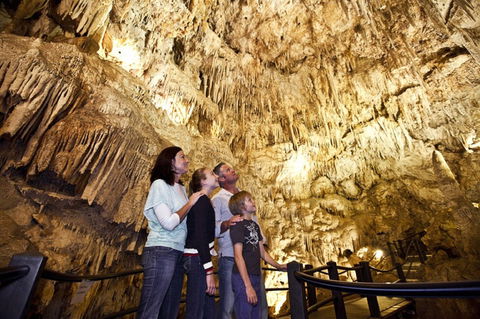 Ngilgi Cave - Kawana Tourism 1