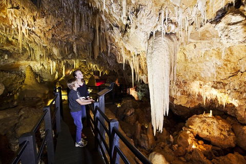 Ngilgi Cave - Kawana Tourism 2