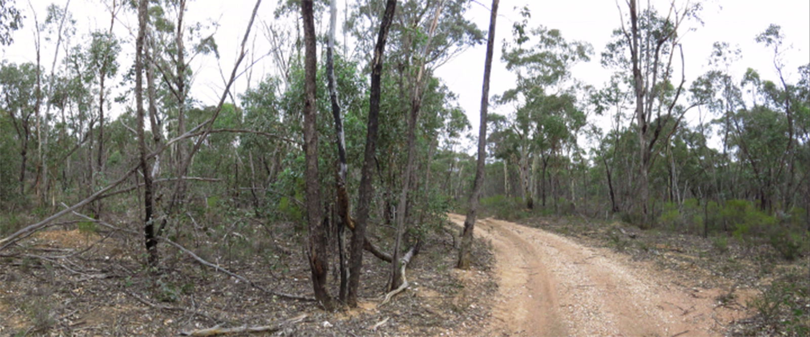 Adelaide Lead VIC Kawana Tourism