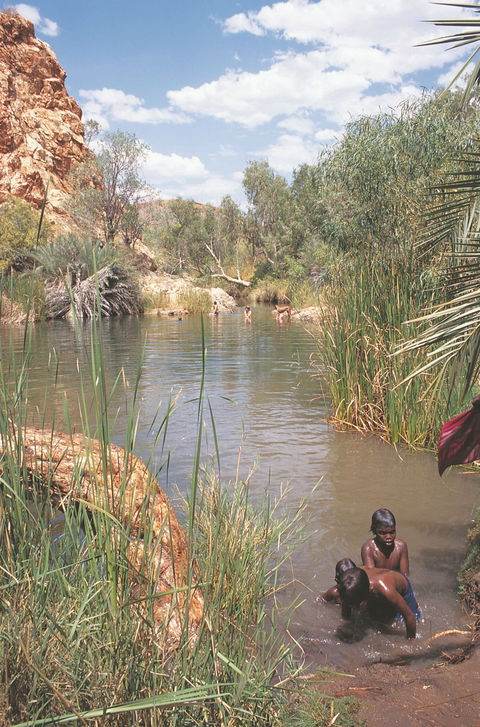 Palm Springs - Kawana Tourism 0