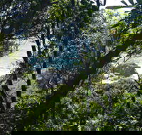 Rainforest Walking Track Hat Head National Park - Kawana Tourism