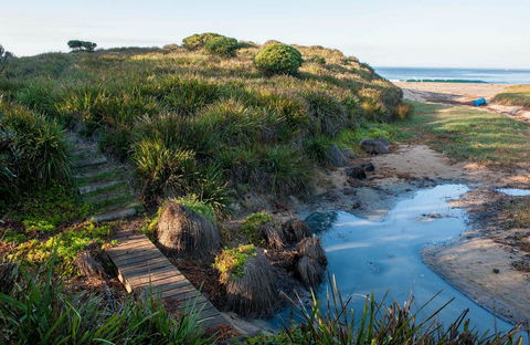 Richmond Beach - Kawana Tourism 0