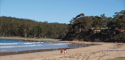 Surf Beach Batemans Bay - Kawana Tourism 1