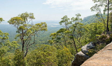 The Narrow Place Lookout - Kawana Tourism 0