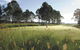 Twin Creeks Golf And Country Club - thumb 0