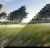 Twin Creeks Golf and Country Club - Kawana Tourism