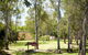 Wangaratta's Significant Trees Walks - thumb 0