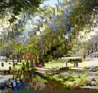 Wangaratta's Significant Trees Walks - Kawana Tourism