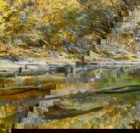 Warrabah National Park - Kawana Tourism