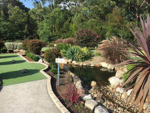 18 Hole Mini Golf - Club Husky - Kawana Tourism 0