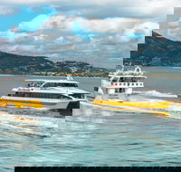 Apex Camps Magnetic Island Group Accommodation Activities and Events - Kawana Tourism