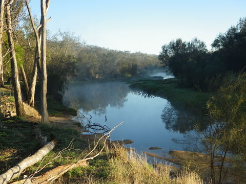 Bilya Walk Track - Kawana Tourism 0