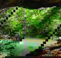 Buderim - Kawana Tourism