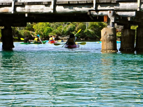 Byron Bay River Nature Kayak Tour - Kawana Tourism 1