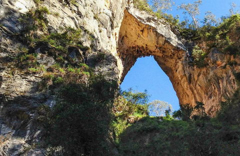 Carlotta Arch Walking Track - Kawana Tourism 0