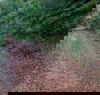 Cascade mountain bike trail - Kawana Tourism