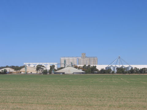 Co-operative Bulk Handling (CBH) Wheat Storage And Transfer Depot - Kawana Tourism 1