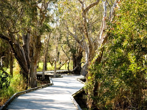 Eagleby Wetlands - Kawana Tourism 1