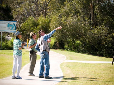 Eagleby Wetlands - Kawana Tourism 2