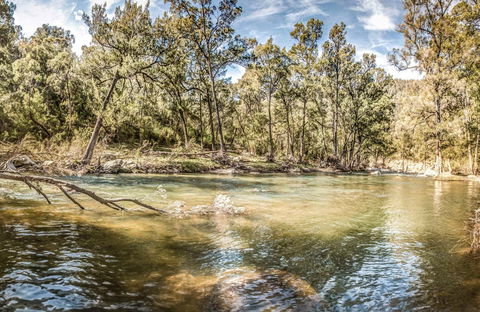 Flea Creek Picnic Area - Kawana Tourism 0